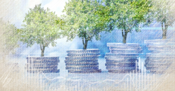 Timontravels Januar 2017