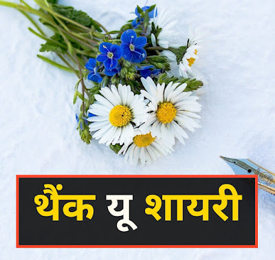 थैंक यू शायरी धन्यवाद पर शायरी