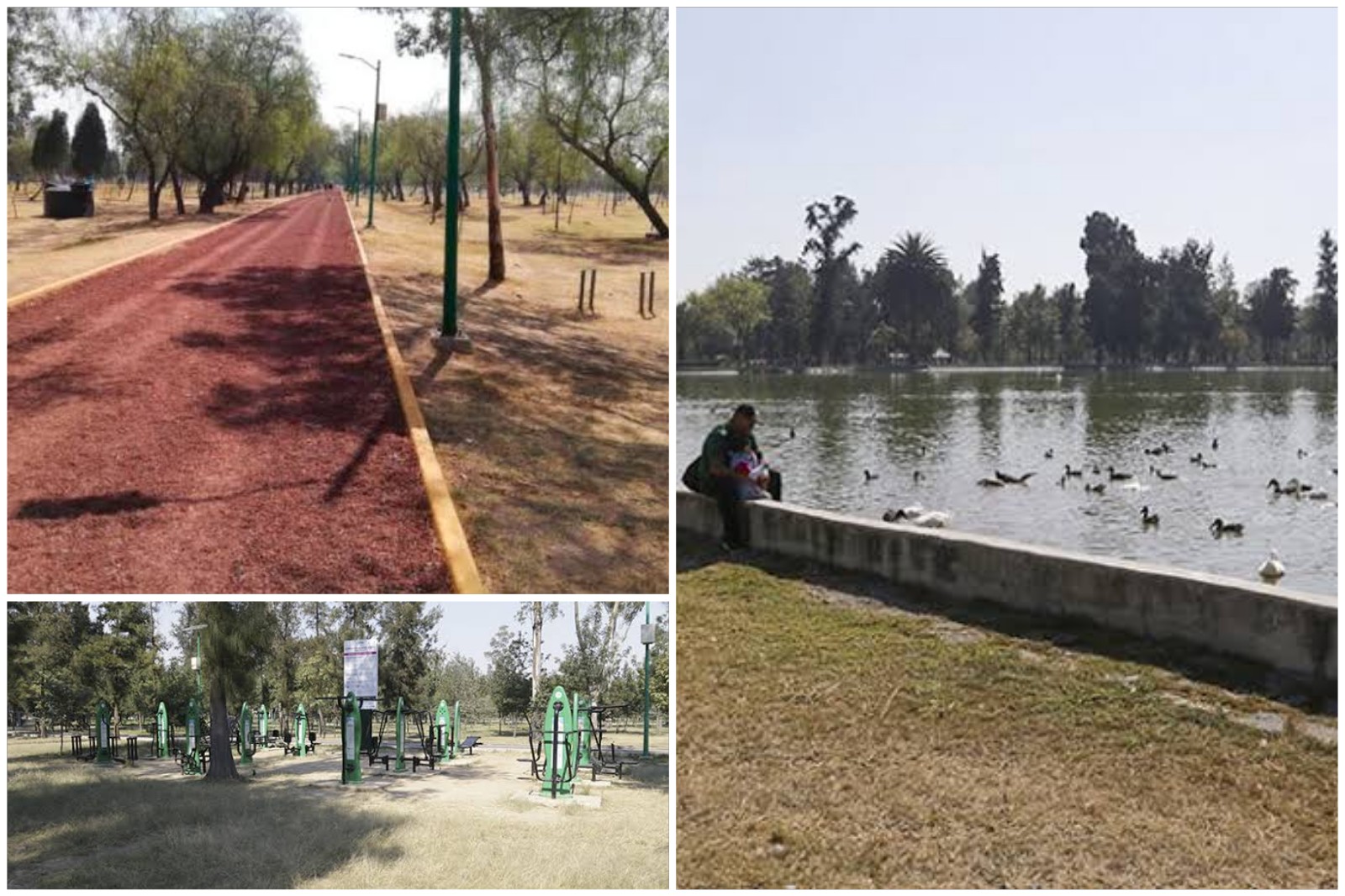 Reabre Bosque de Aragón, estas son las reglas y horario de operación