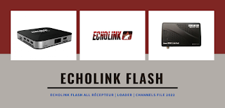 Echolink Flash Echolink Flash