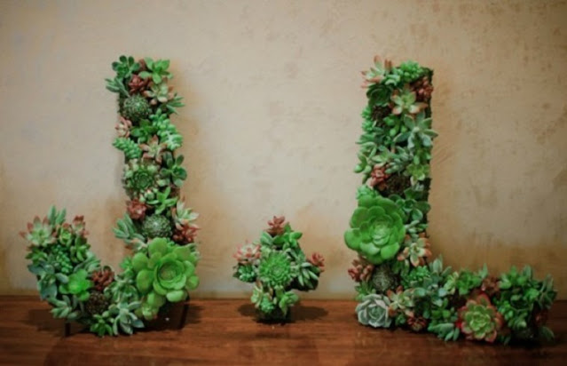 plant pot display ideas