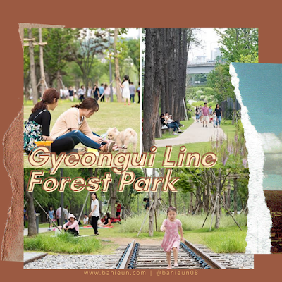 Gyeongui line forest park