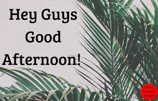 good afternoon guys images good afternoon guys images