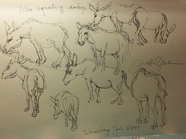virtue signalling, donkey, drawing, ink, MAGA