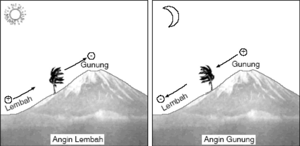 8 Jenis Angin Fohn Tornado Monsun Siklon Beserta Gambarnya Terlengkap