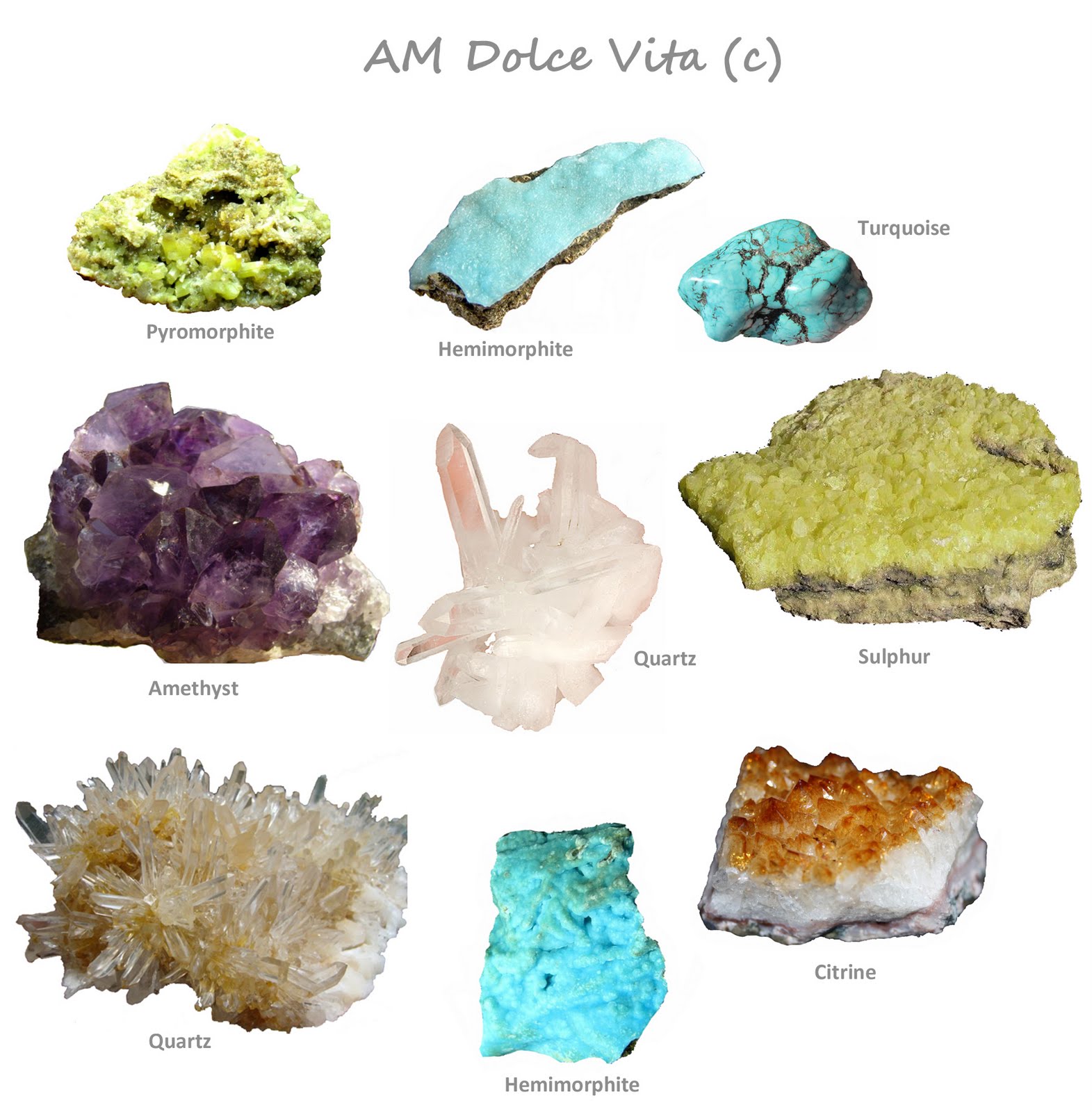 AM Dolce Vita: Rock Collection in Clarus Glass Display Boxes