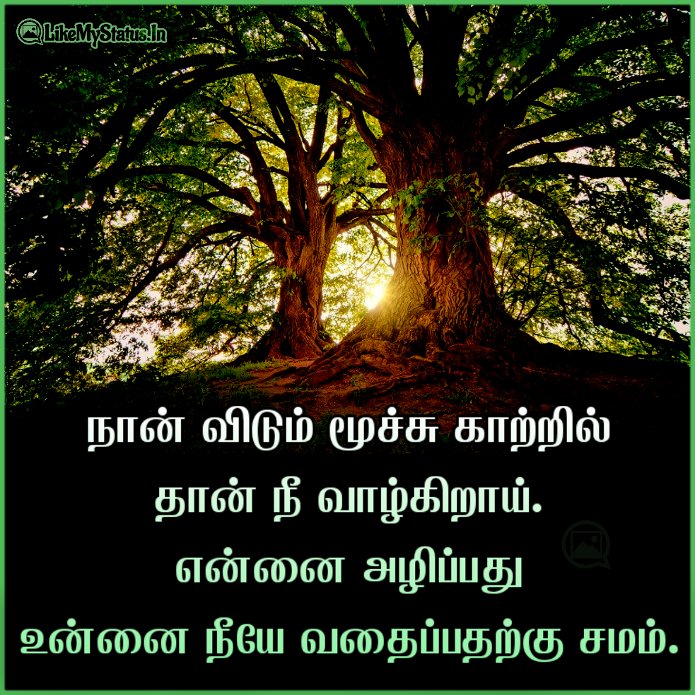 17 இயற்கை கவிதைகள் இமேஜ் | Nature Quotes In Tamil