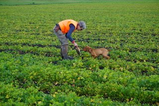 Pam working with Ben his first time in the field