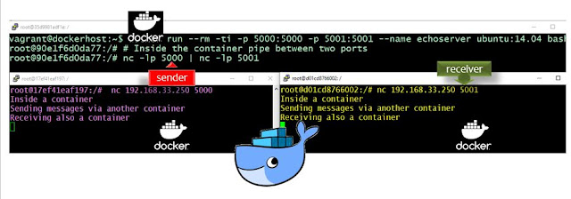 container Communicate with Host