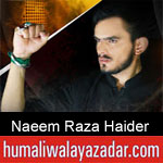 https://humaliwalaazadar.blogspot.com/2019/08/naeem-raza-haider-nohay-2020.html