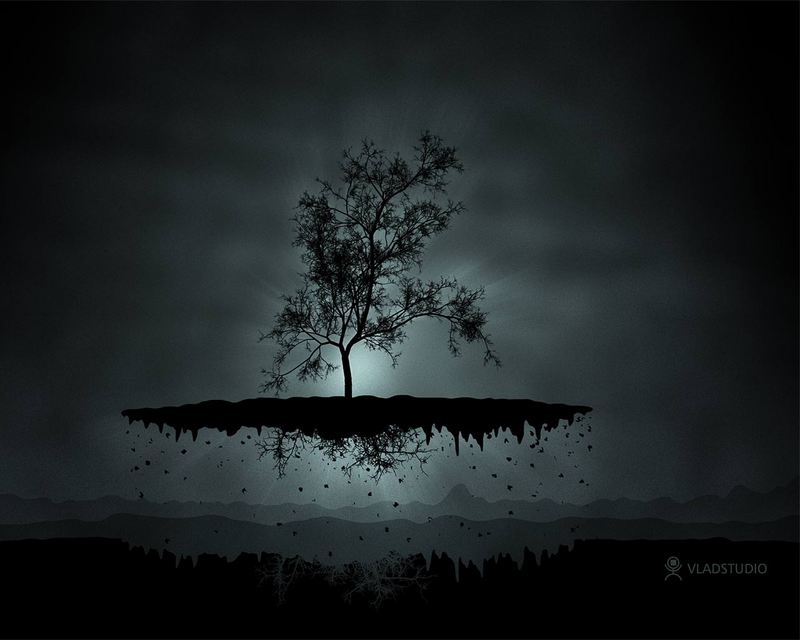 Dark Trees Hd Wallpapers  Wallpaper202-8519