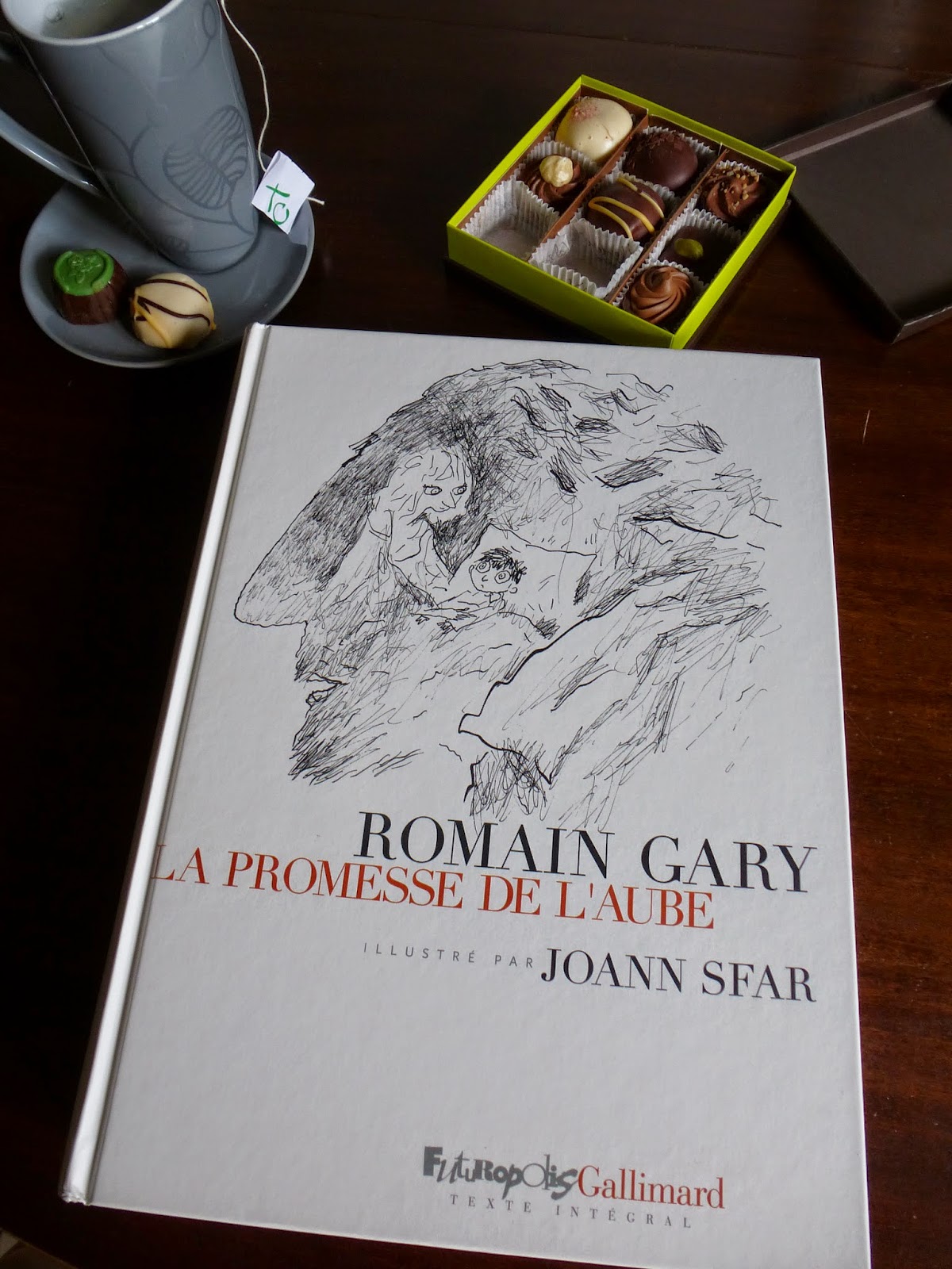 La promesse de l'aube de Romain Gary illustré par Joann Sfar Depuis le cadre de ma fenêtre