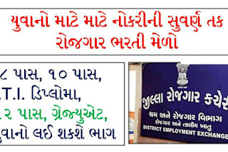 Rojgar Bharti Mela 2020 In Gujarat's Various Districts
