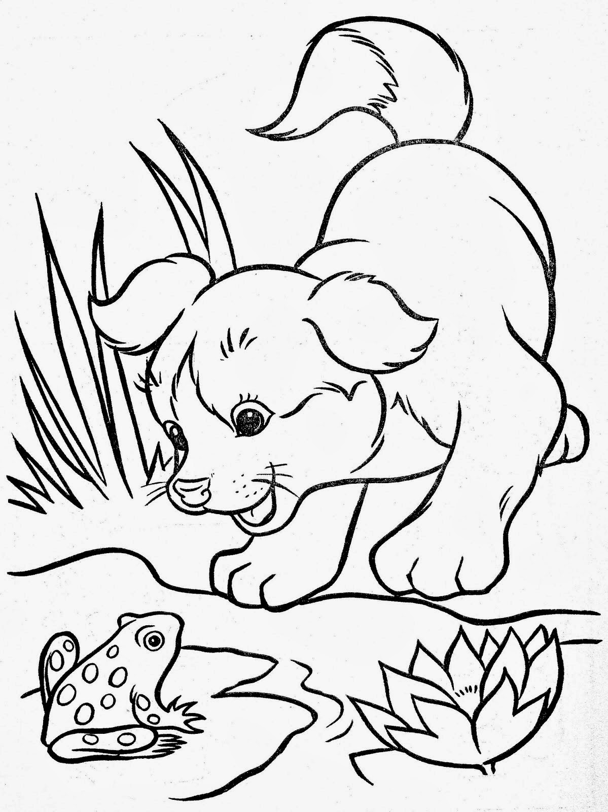 Tarefas Blog Animais da Fazenda Desenhos para Colorir Tarefas Blog Animais da Fazenda Desenhos para Colorir