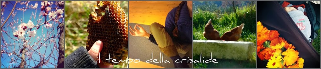 Il tempo della crisalide