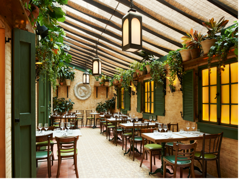 Indoor Plants Melbourne Why do indoor plants make you feel better?