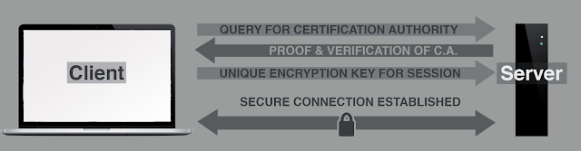 An interaction between a client and the server. The client asks the server for verification of their certification authority, to which the server responds with proof of certificate. The client then sends the server a unique encryption key, confirming the establishment of a secure session. | DinoRiese.com