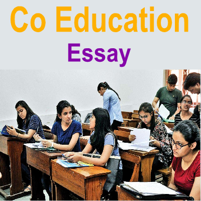 English essays pdf picture