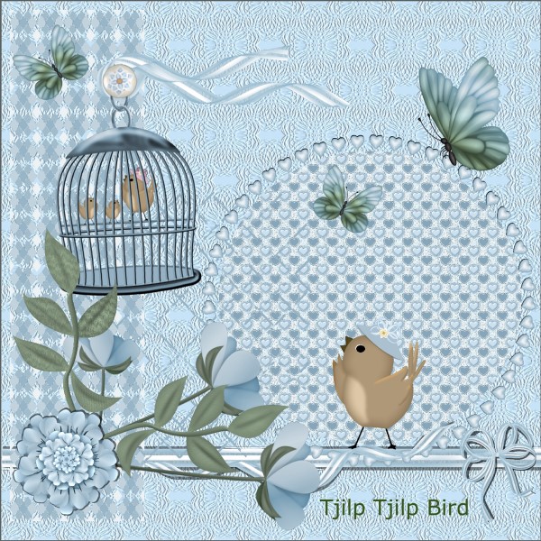 July 2016 Tjilp Tjilp Bird