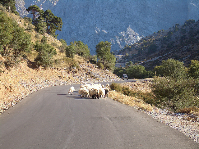 Cretan roads