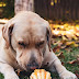 Alter Digital Photos - Get Photoshop To Do The Work