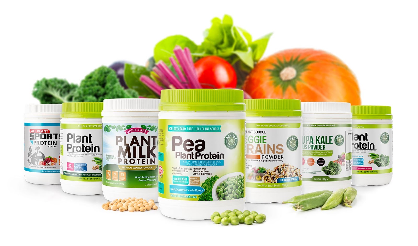 Kay Kay Healthy Food Packaging Of The World