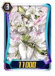 White Lily Musketeer, Cecilia (G3)