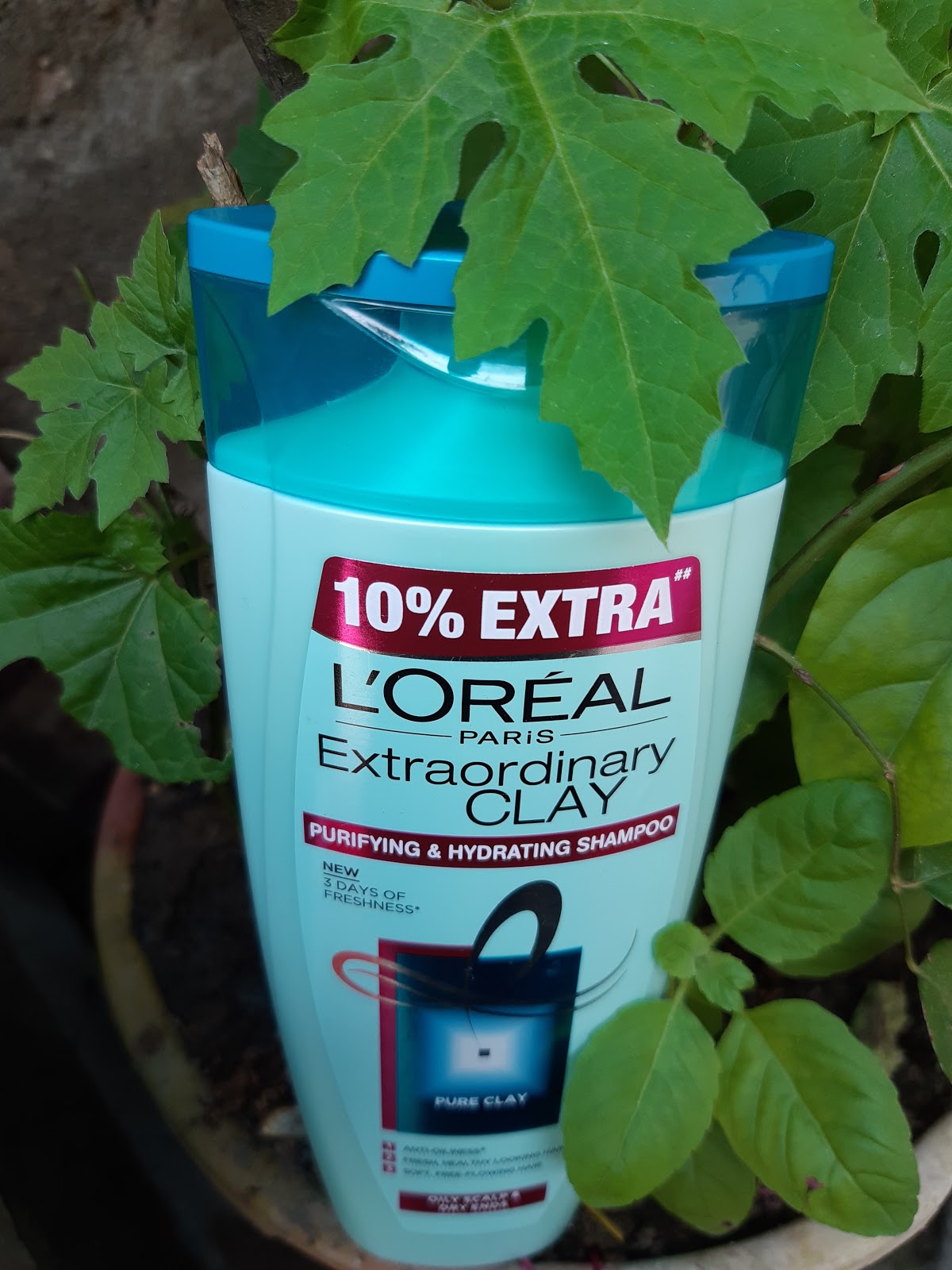 L'Oreal Paris Extraordinary Clay Shampoo Review