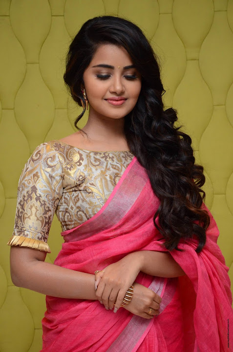 Anupama Parameswaran at Vunnadi Okate Zindagi Movie Thanks Meet