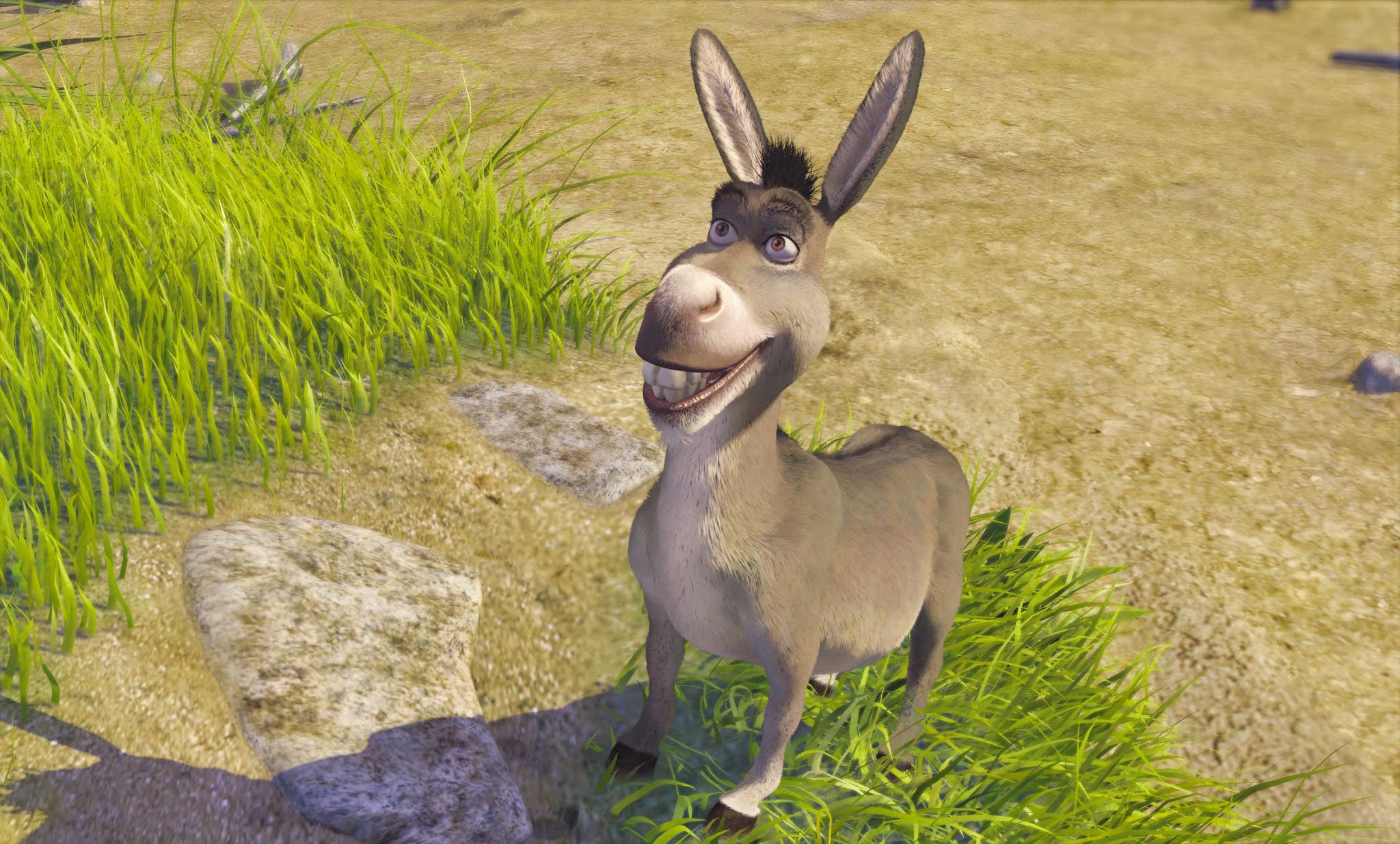 Donkey from Shrek