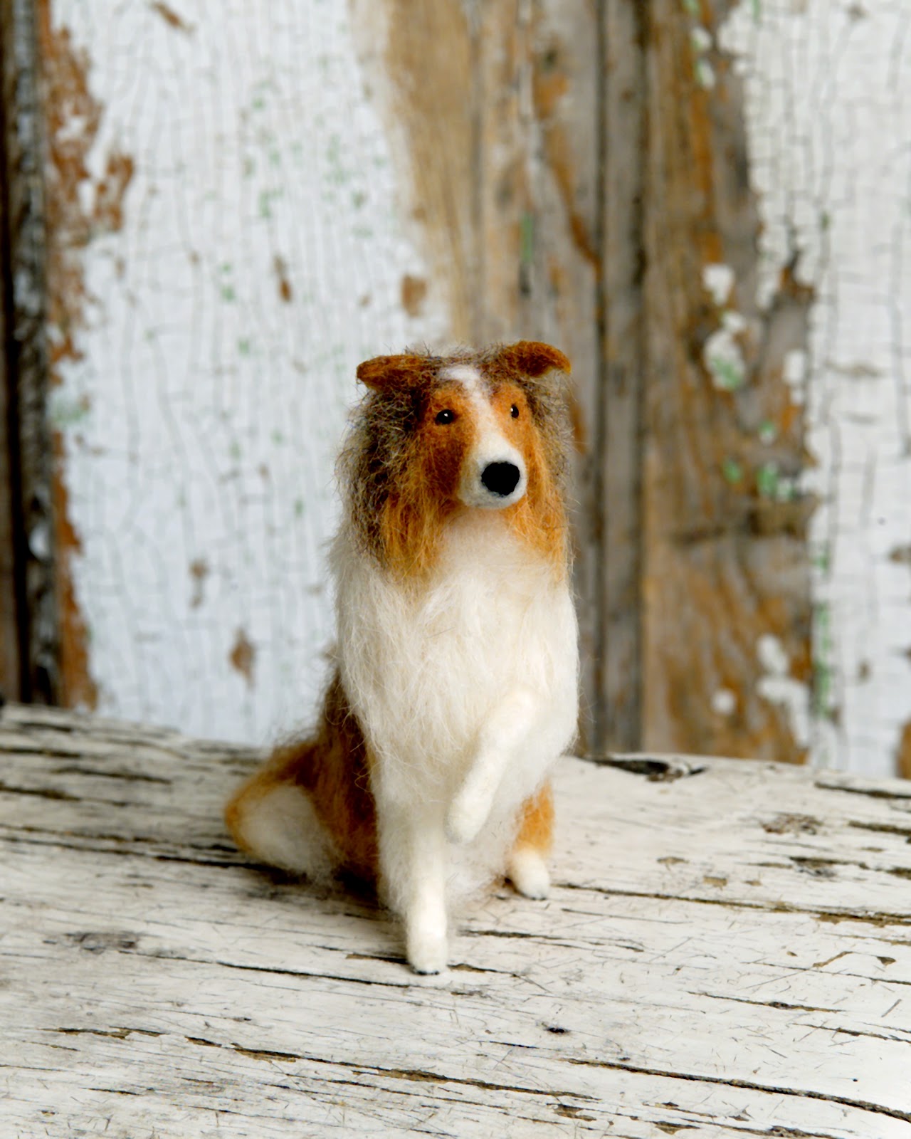 All Dogs Here Lassie!