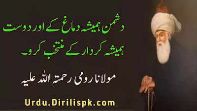 Rumi Quotes in Urdu