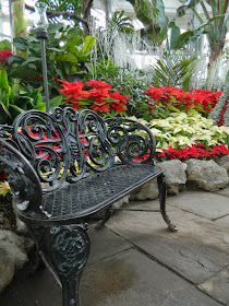 Allan Gardens Conservatory Christmas Flower Show 2014 cast iron bench by garden muses-not another Toronto gardening blog