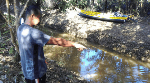 Alqur’an Dibuang di Sungai, di Kalimantan Utara Alqur’an Dibuang di Sungai, di Kalimantan Utara