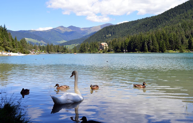 laghi alto adige