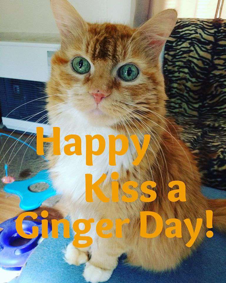Kiss a Ginger Day Wishes Unique Image
