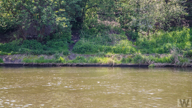 Bieżące utrzymanie bulwarów nad Brdą w Bydgoszczy