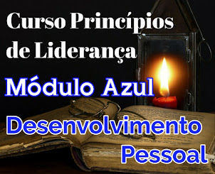 CURSO PRINCÍPIOS DE LIDERANÇA - DESENVOLVIMENTO PESSOAL