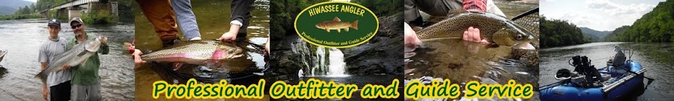 Hiwassee Angler
