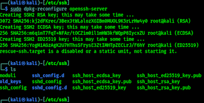 New SSH keys are generated