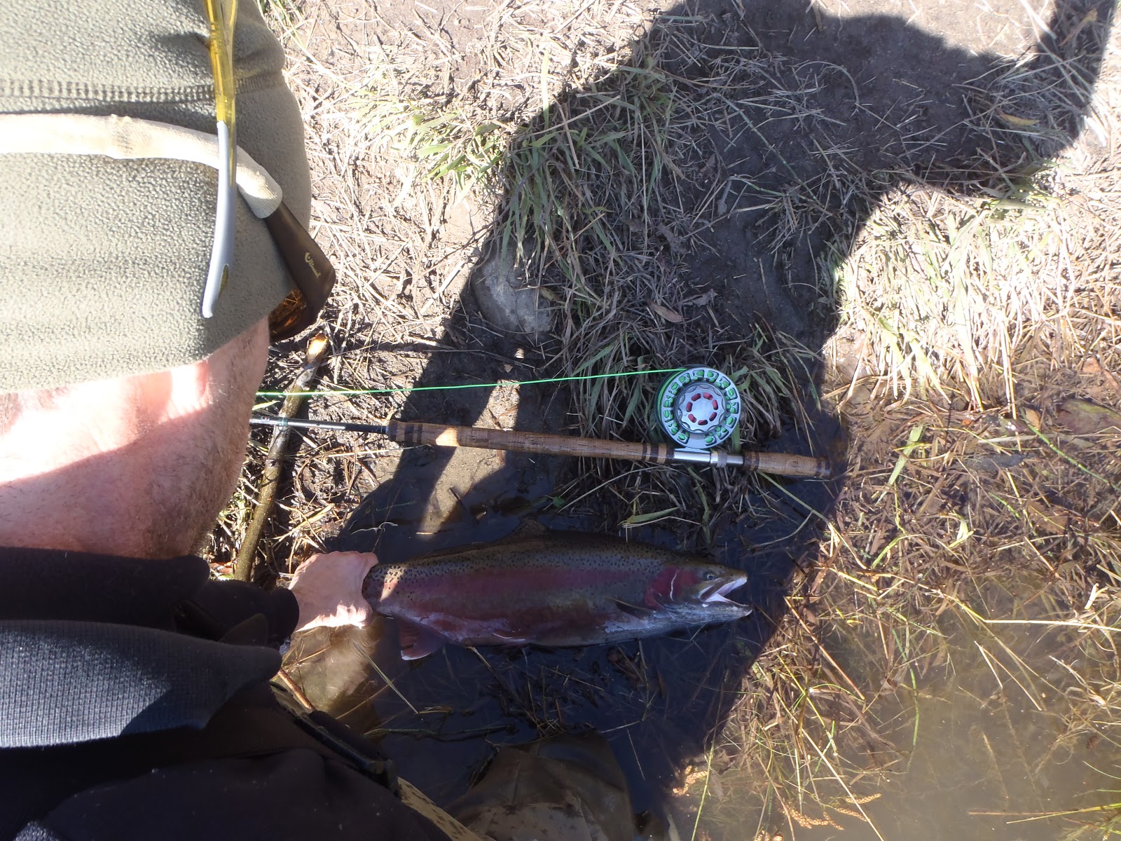 Irideus Fly Fishing Products California steelhead fly fishing is alive and well