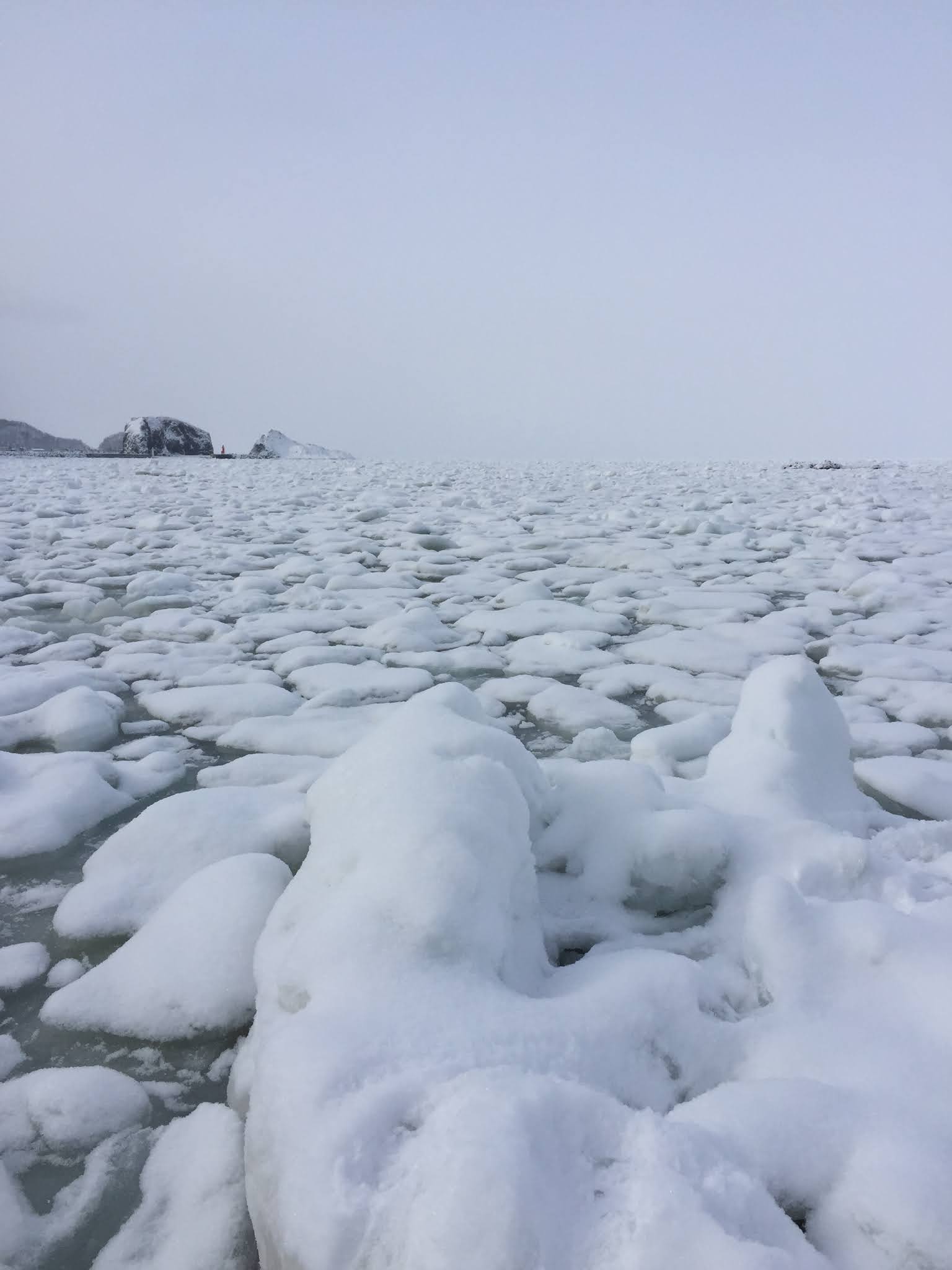 知床100天 100 days of Shiretoko: [知床] 流冰漫步 Drift ice walk, Shiretoko