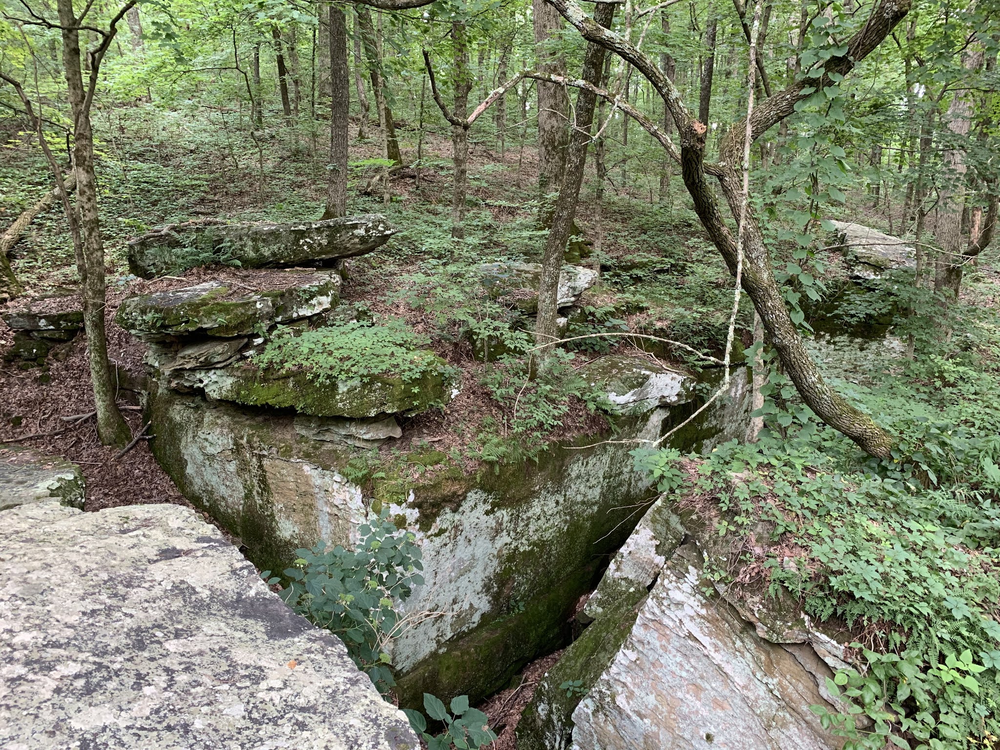 Weekend Wanderluster Millstone Bluff Petroglyphs (Pope County, Illinois)