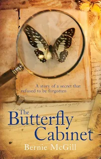 The Butterfly Cabinet by Bernie McGill book cover