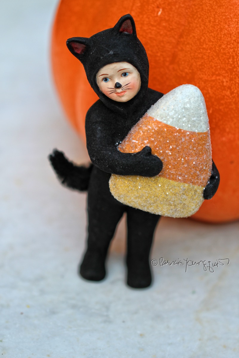 The Last Leaf Gardener Sunday S Sentiment National Black Cat Day An Excuse To Celebrate Black Squirrels Too