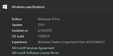 Windows 11 Pro Insider Preview Update Juni 2021