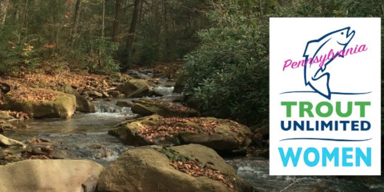 PA Environment Digest Blog Summer PA Women Of Trout Unlimited