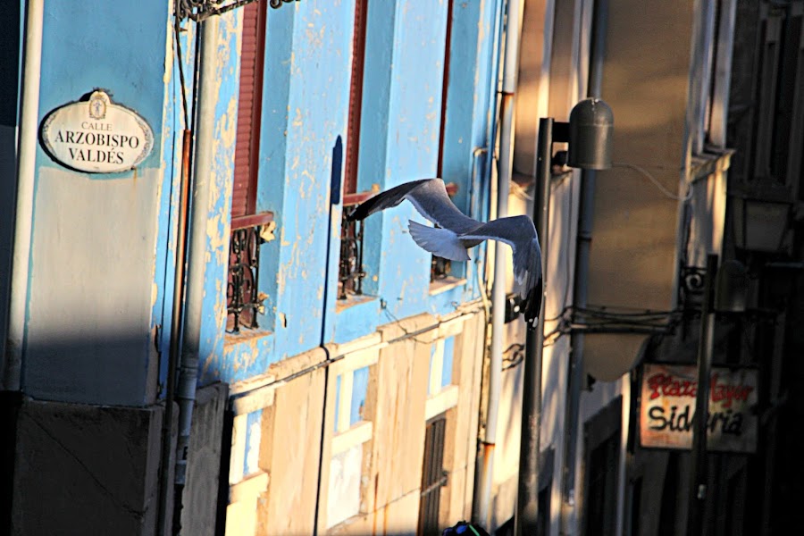 Gijón al aterdecer