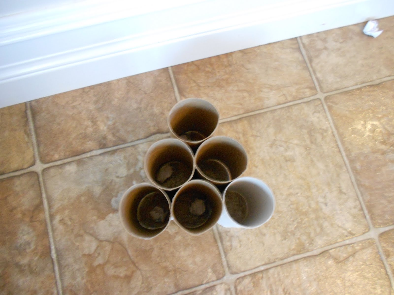Almost Unschoolers Toilet Paper Tube Paper Toss Game