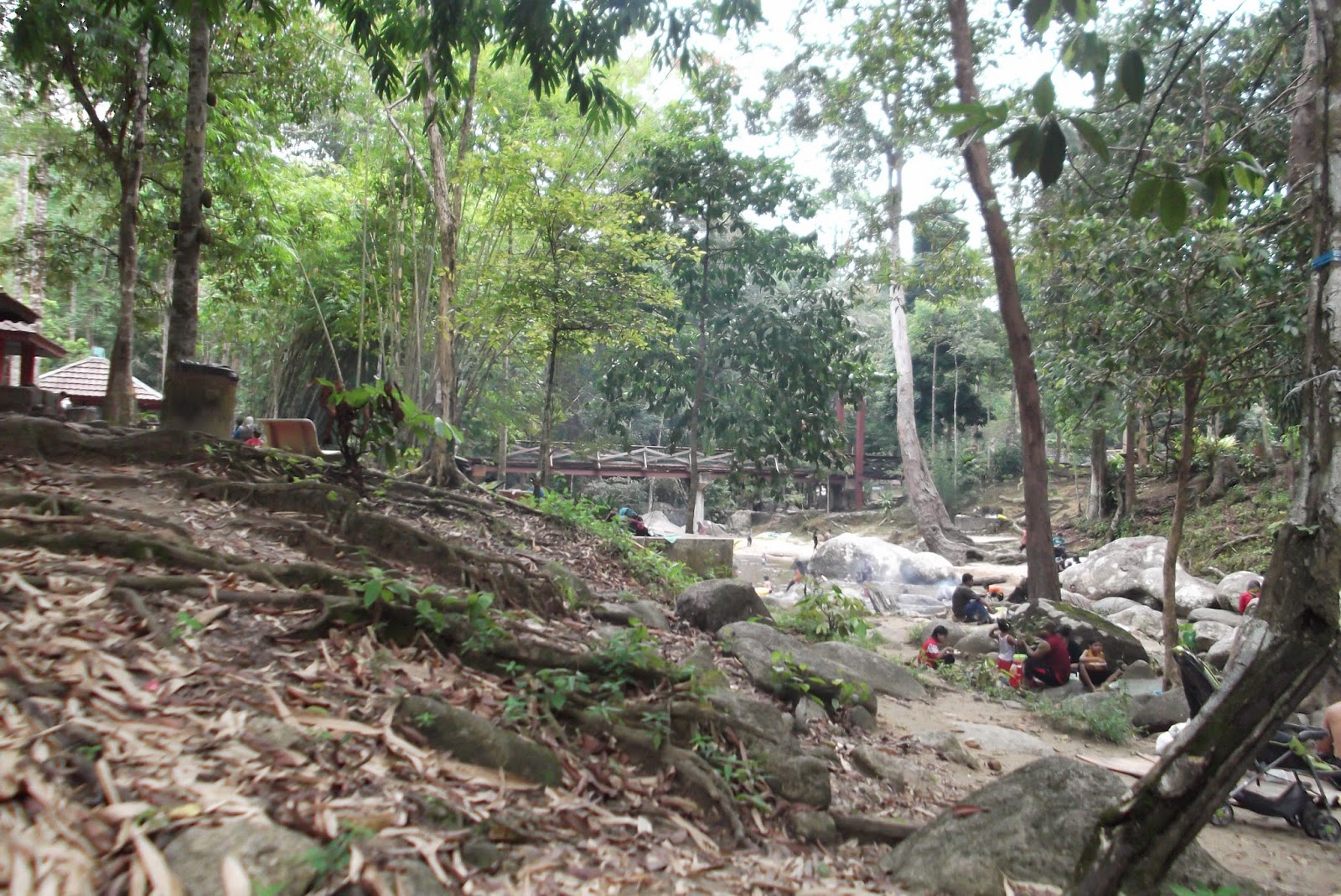 Hutan Lipur Ulu Kenas